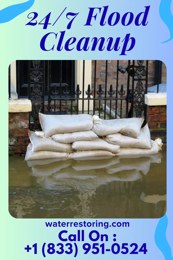 24/7 Flood Cleanup in Seeley, NJ