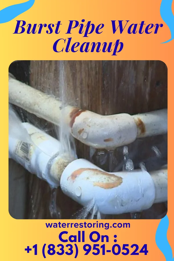 Burst Pipe Water Cleanup in Seeley, NJ