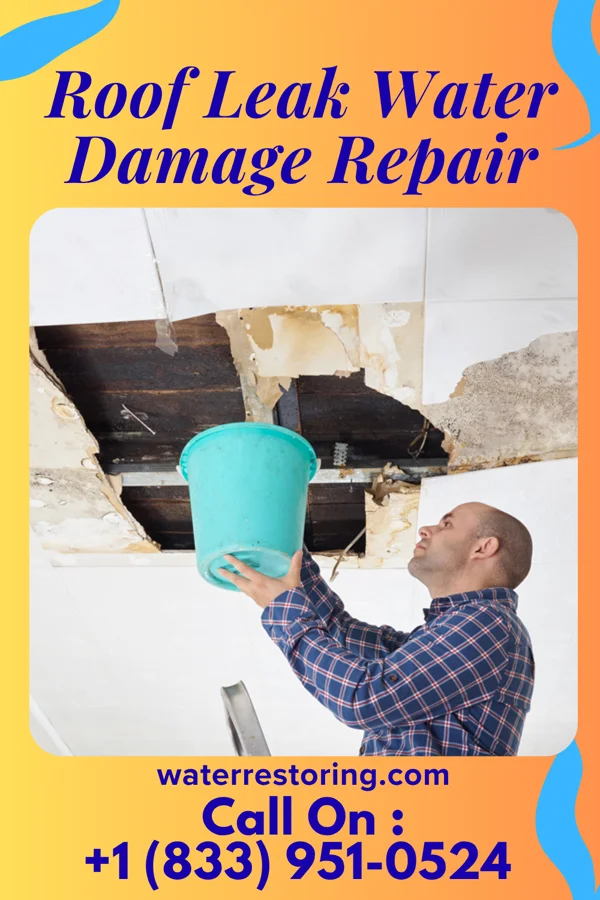 Roof Leak Water Damage Repair in Seeley, NJ